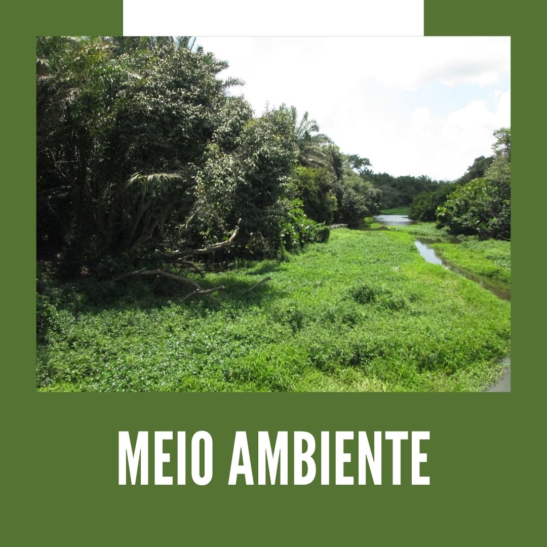 Meio Ambiente_Imagem: Comunicação PROEX