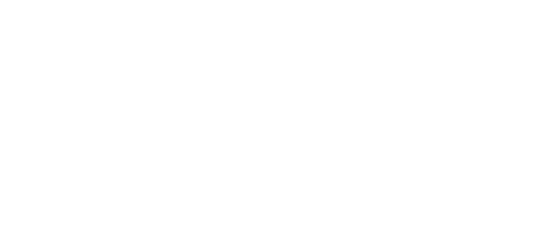 Logo PROEX-10.png